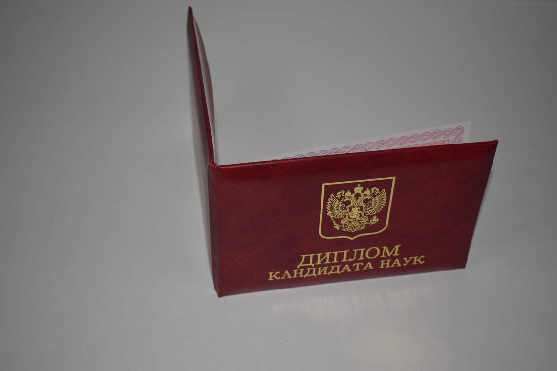Диплом Кандидата Наук 2013-2016 в Химках корка