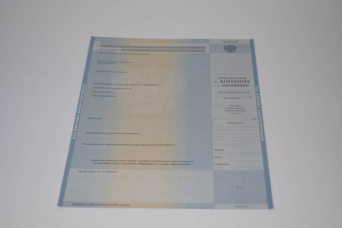 Диплом Магистра с 2003-2008 в Химках приложение
